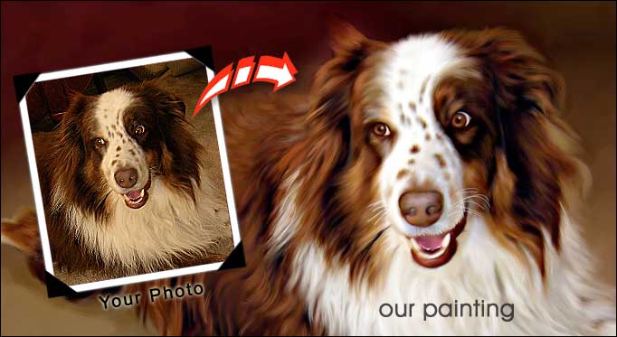 dog-portraits.jpg